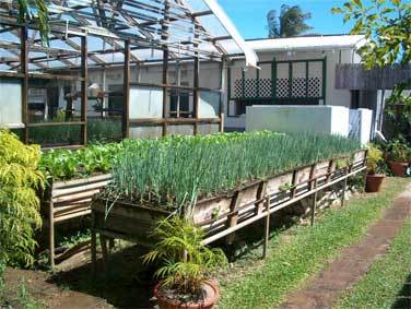 hydroponic system