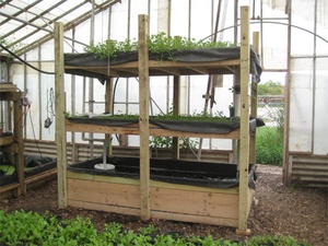 DIY aquaponics