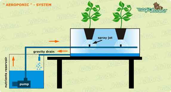 aeroponics system
