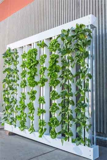 5 Vertical Hydroponic Ideas To Get You, Diy Countertop Hydroponic Garden