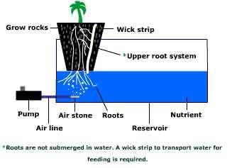 hydroponic system