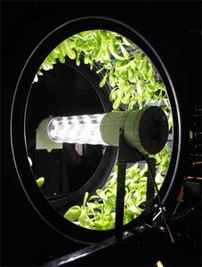 5 Vertical Hydroponic Ideas To Get You Going – Off Grid Living - Off-Grid Living Space With Hydroponic Gardens