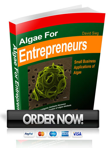algae for entraprenuers